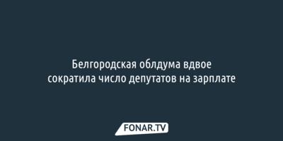 Белгородская облдума вдвое сократила число депутатов на зарплате