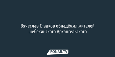 Вячеслав Гладков обнадёжил жителей шебекинского Архангельского