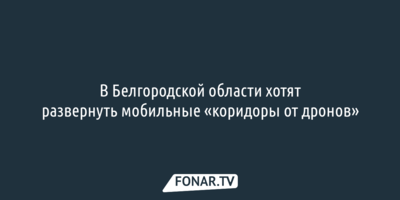 В Белгородской области хотят развернуть мобильные «коридоры от дронов»