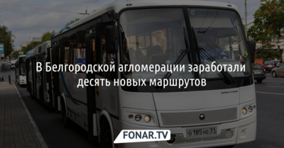 В Белгородской агломерации заработали десять новых маршрутов