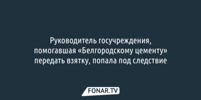 Следователи назвали, кто помог гендиректору «Белгородского цемента» передать взятку