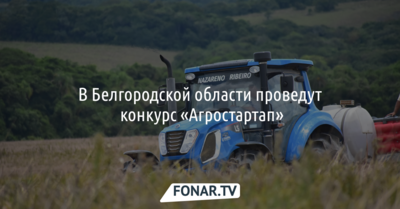 В Белгородской области проведут конкурс «Агростартап»