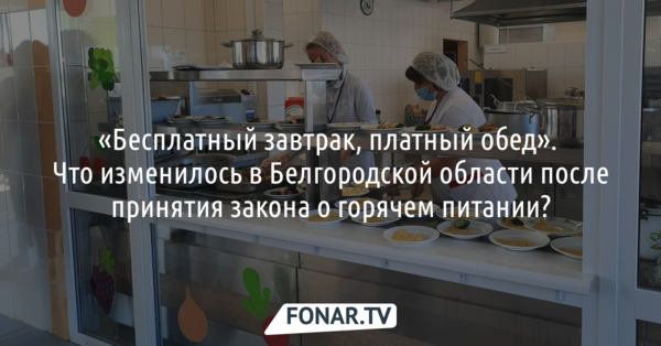 «Бесплатный завтрак, платный обед». Что изменилось в Белгородской области после принятия закона о горячем питании?