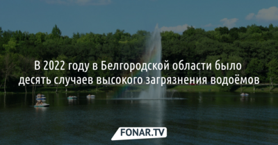 В 2022 году Белгородская область лидировала в Черноземье по количеству загрязнений водоёмов