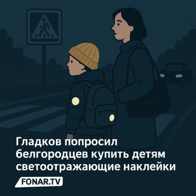 ​Гладков попросил белгородцев купить детям светоотражающие наклейки
