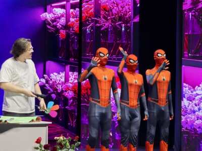 Пять команд — одна цель. Как белгородские кавээнщики доказывали, что «Тремпель» — не просто вешалка