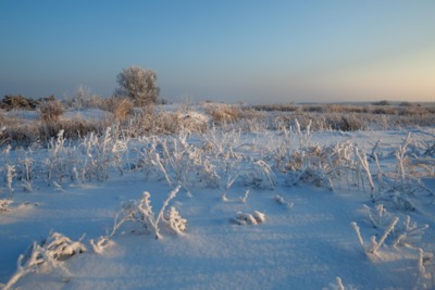 В Белгородской области неделя начнётся с сильных морозов