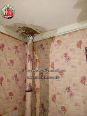 Постояльцы белгородского общежития пятый год терпят потоп