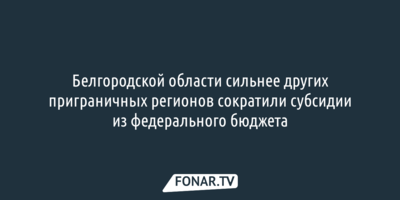 За год Белгородской области сильнее других приграничных регионов сократили субсидии из бюджета