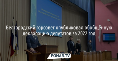 Белгородский горсовет впервые опубликовал обезличенные сведения о доходах депутатов
