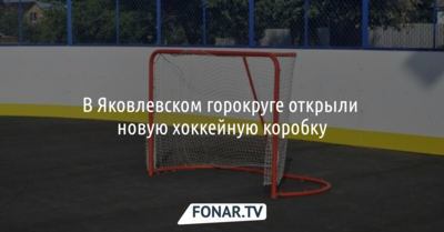 В Яковлевском горокруге открыли новую хоккейную коробку