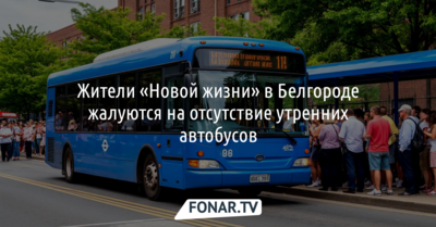 Жители «Новой жизни» в Белгороде жалуются на отсутствие утренних автобусов