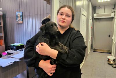 ​Сто собак и одна девушка. Чем живёт приют для бездомных собак в Строителе?