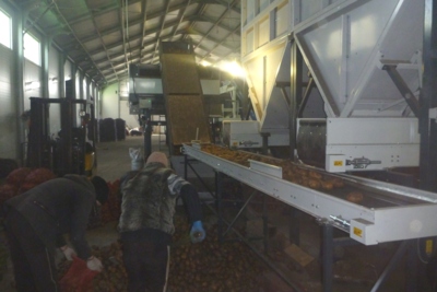 В Белгородской области построили хранилище на 25 тысяч тонн картофеля
