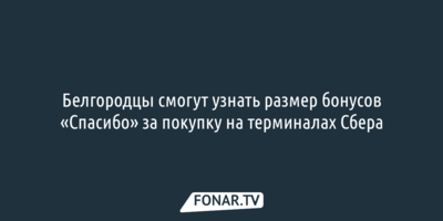 Белгородцы смогут узнать размер бонусов «Спасибо» на терминалах Сбера