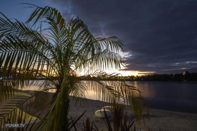 Вдоль пальм по набережной. Необычная вечерняя прогулка в Белгороде