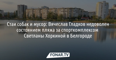 Стаи собак и мусор: Вячеслав Гладков недоволен состоянием пляжа за спорткомплексом Хоркиной в Белгороде