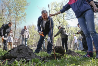 В Центральном парке Белгорода высадили 550 саженцев