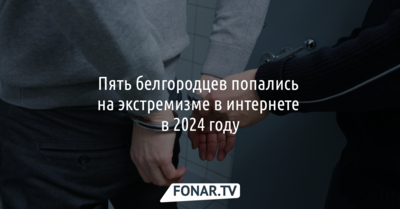 Пять белгородцев попались на экстремизме в интернете в 2024 году