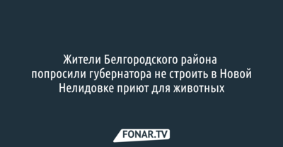 Жители Белгородского района попросили губернатора не строить в Новой Нелидовке приют для животных
