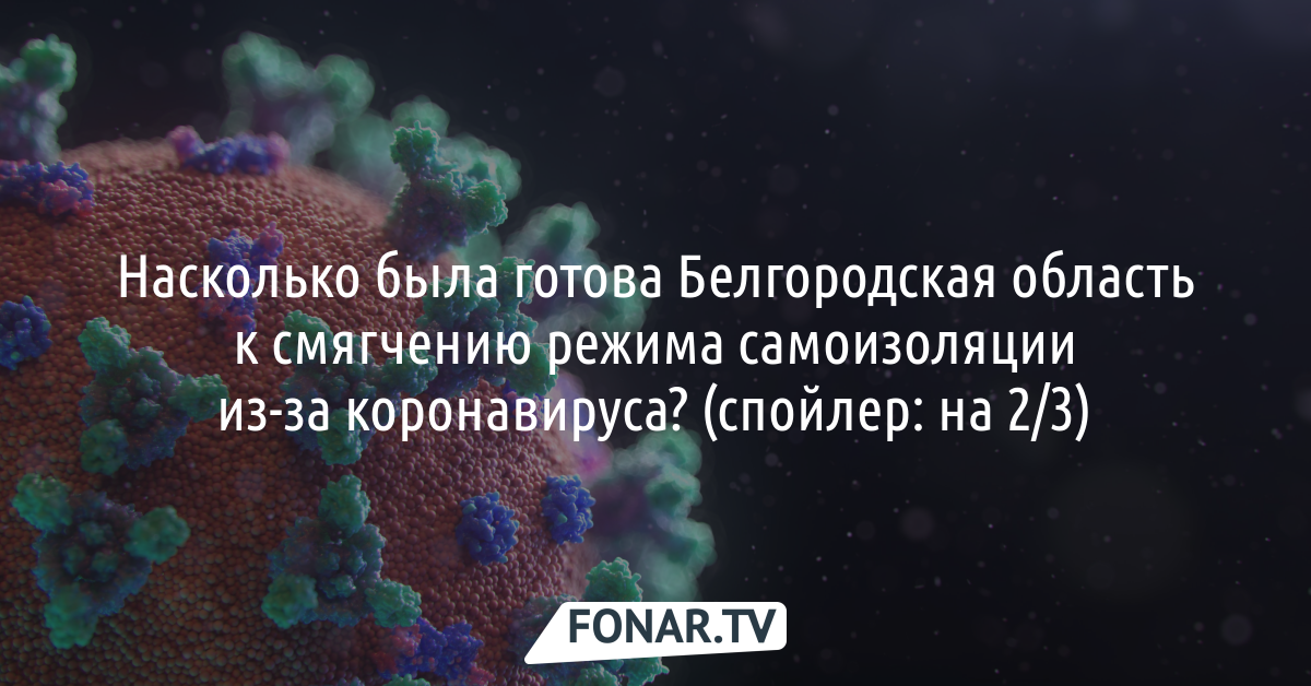 Насколько была готова Белгородская область к смягчению режима самоизоляции из-за коронавируса? Исследование «Фонаря»