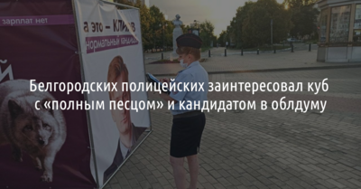 Белгородских полицейских заинтересовал куб с «полным песцом» и кандидатом в облдуму