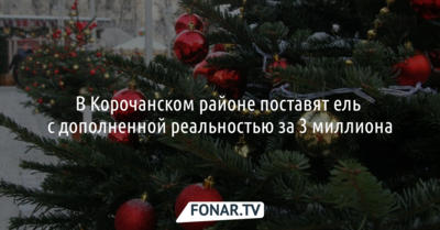 В Корочанском районе поставят новогоднюю ель с дополненной реальностью и сигнализацией за 3 миллиона