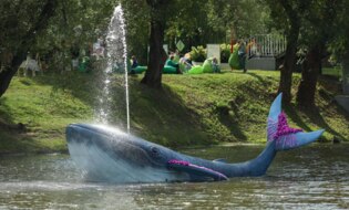 ​«Белгород в цвету-2023». Ледовое шоу и кит на самом ярком фестивале осени