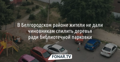 В Белгородском районе жители не дали чиновникам спилить деревья ради парковки