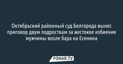 В Белгороде суд вынес приговор двум братьям за жестокое избиение мужчины возле бара на Есенина