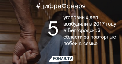 В Белгородской области в два раза стало меньше уголовных дел за домашнее насилие