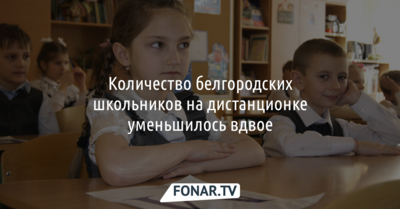 Количество белгородских школьников на дистанционке уменьшилось вдвое
