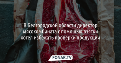 В Белгородской области директор мясокомбината за взятку хотел избежать проверки продукции