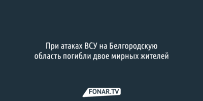 При атаках ВСУ на Белгородскую область погибли двое мирных жителей