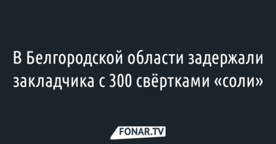 В Белгородской области задержали закладчика с 300 свёртками «соли»