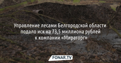 Управление лесами Белгородской области подало иск на 73,5 миллиона рублей к компании «Мираторг»