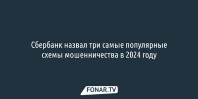 Сбербанк назвал самые популярные схемы мошенничества в 2024 году