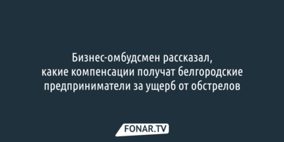 Бизнес-омбудсмен рассказал, какие компенсации получат белгородские предприниматели за ущерб от обстрелов