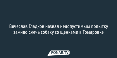 Вячеслав Гладков назвал недопустимым попытку заживо сжечь собаку со щенками в Томаровке