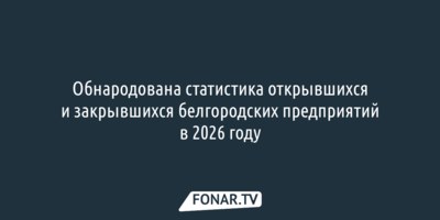 Обнародована статистика открывшихся и закрывшихся белгородских предприятий в 2026 году