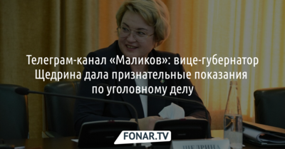 Вице-губернатор Щедрина дала признательные показания по уголовному делу
