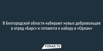 В Белгородской области набирают новых добровольцев в отряд «Барс» и готовятся к набору в «Орлан»