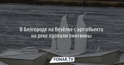 В Белгороде на Везёлке с арт-объекта на реке пропали пингвины 