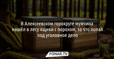 В Алексеевском округе мужчина нашёл в лесу ящики с порохом и попал под уголовку