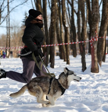 В Белгороде прошёл забег «Хаски-Trail»