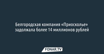 Белгородская компания «Приосколье» задолжала более 14 миллионов рублей