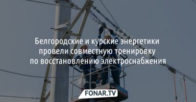 Белгородские и курские энергетики провели совместную тренировку по восстановлению электроснабжения