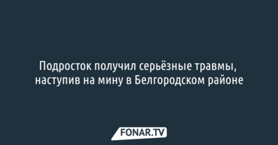 Подросток получил серьёзные травмы, наступив на мину в Белгородском районе