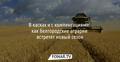 В касках и с компенсациями: как белгородские аграрии встретят новый сезон