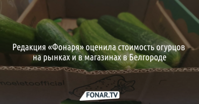 Редакция «Фонаря» оценила стоимость огурцов на рынках и в магазинах в Белгороде